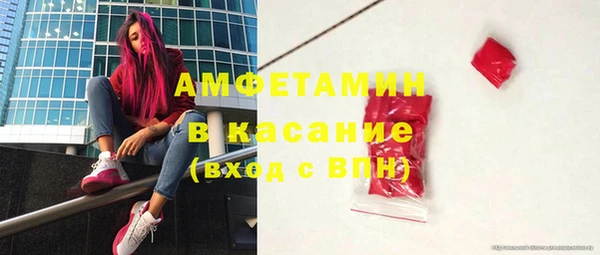 дмт Богданович