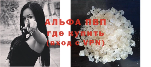 ECSTASY Бородино