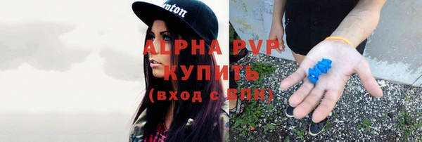 ECSTASY Бородино