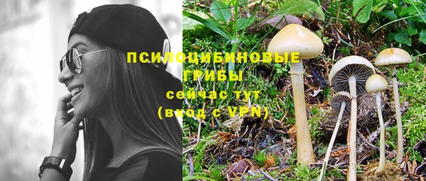 мет Новозыбков