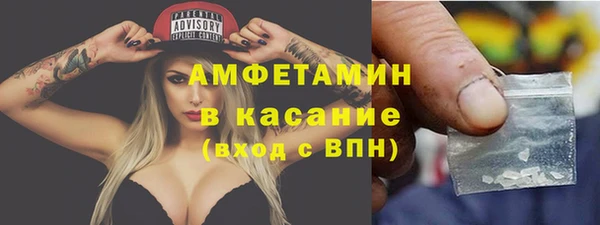 дмт Богданович