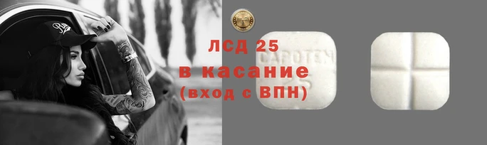 дмт Богданович