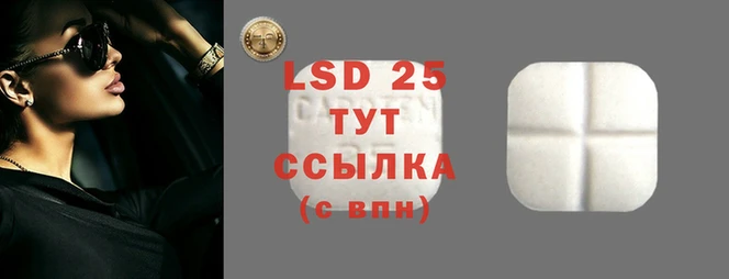 спиды Протвино
