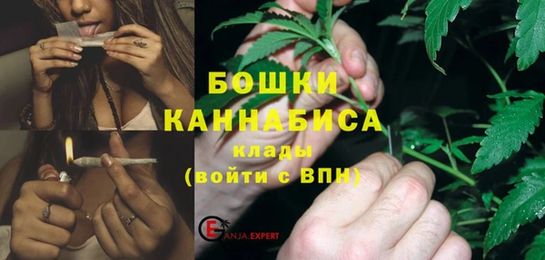 дмт Богданович