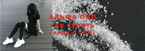 стаф Богородицк