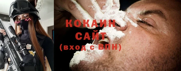 ECSTASY Бородино