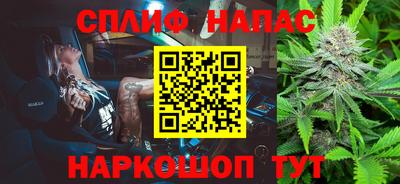 spice Гусев