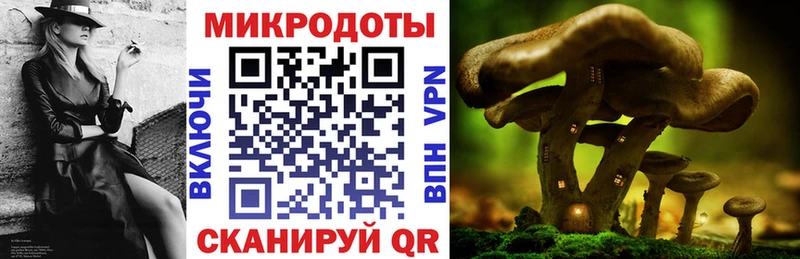 купить наркотик  Йошкар-Ола  Галлюциногенные грибы MAGIC MUSHROOMS 