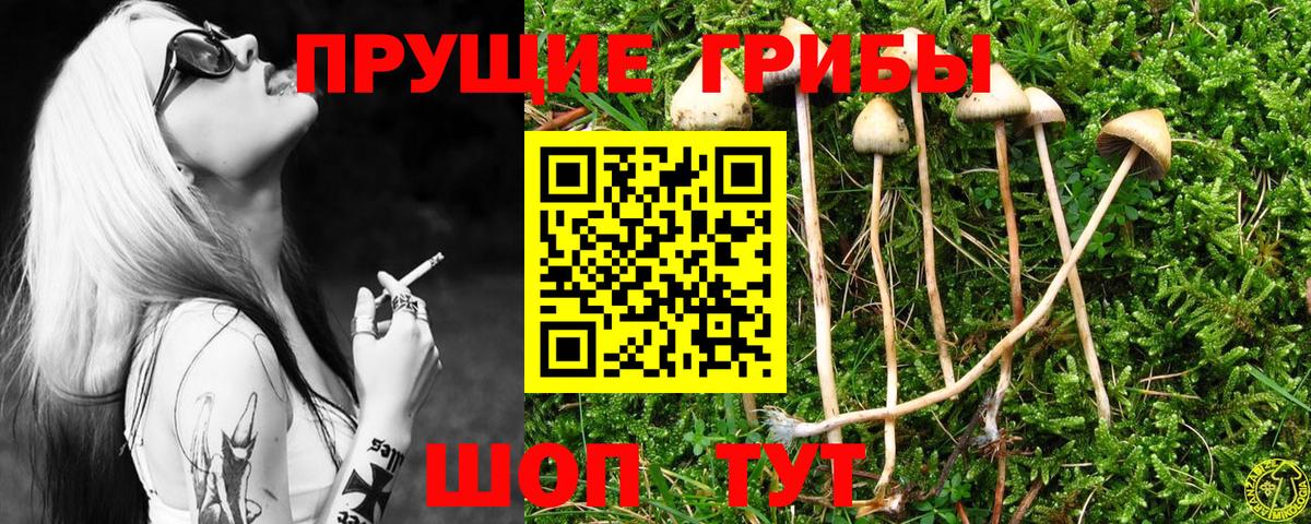 Йошкар-Ола  купить наркотик  Вход с VPN  Галлюциногенные грибы Cubensis 